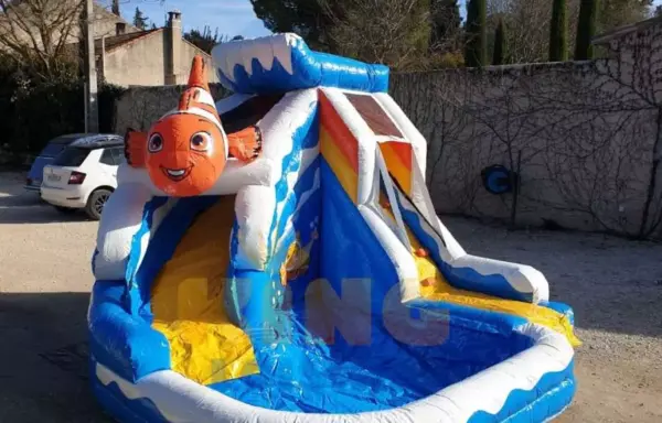 Mini Piscine Némo