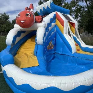 Mini Piscine Nemo