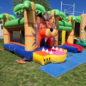 Multiplay Lion